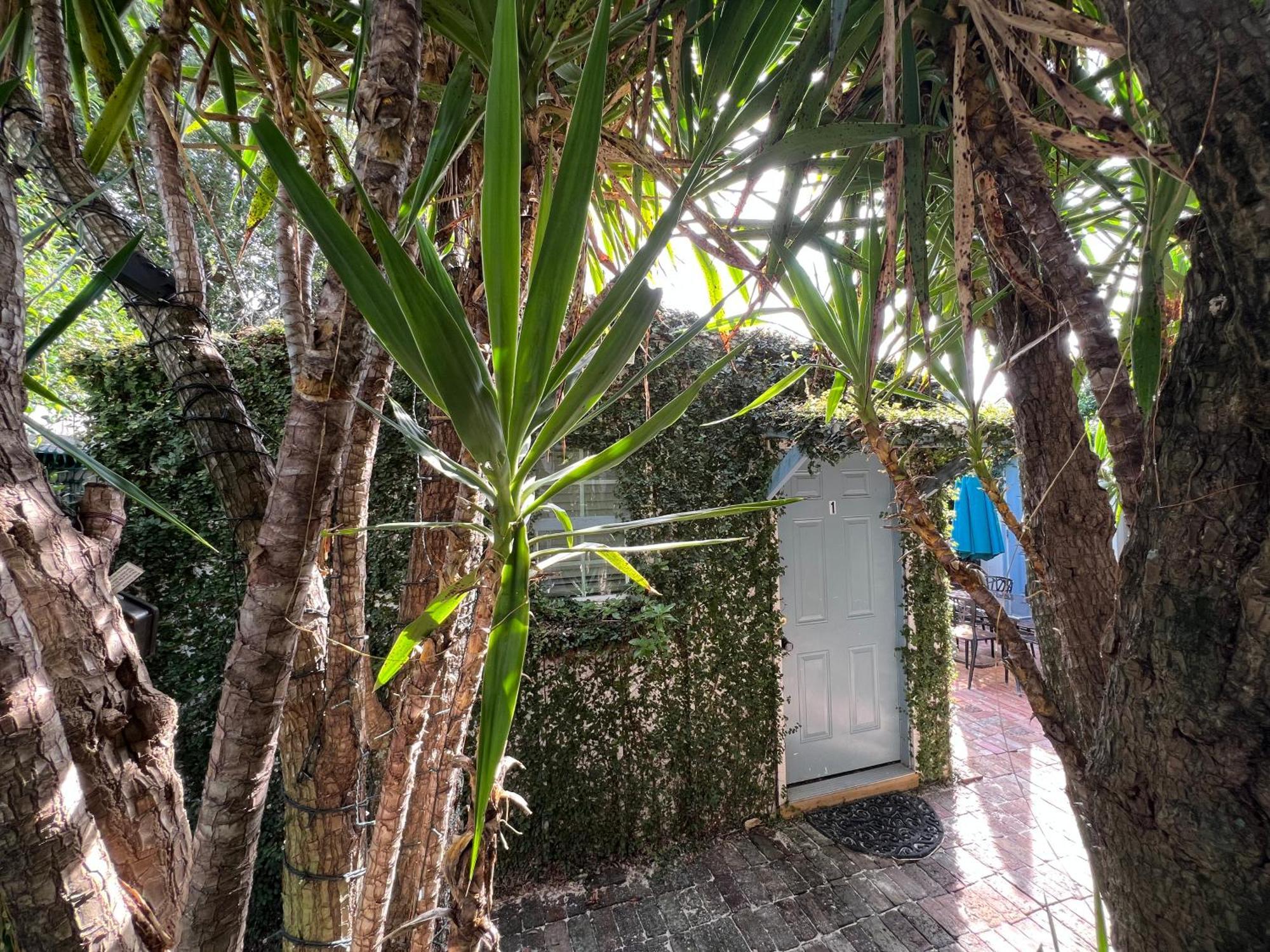 Studio Apartment Antonine New Orleans Dış mekan fotoğraf